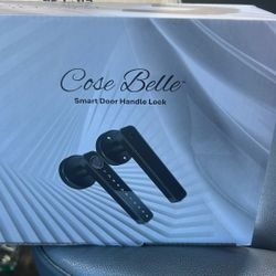 Smart Door Handle Lock