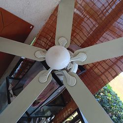 Ceiling fan.