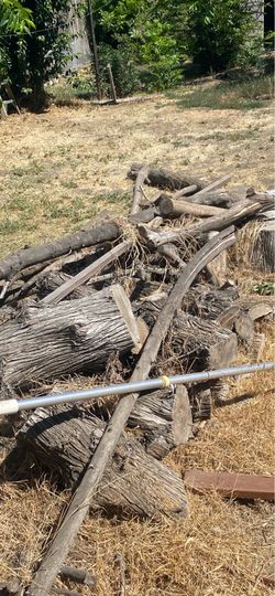 Free firewood