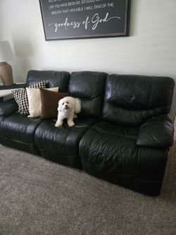 Leather Couch and electric love seat