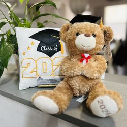 Graduation Pillow And Bear (2024)