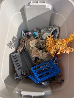 Aquarium Equipment