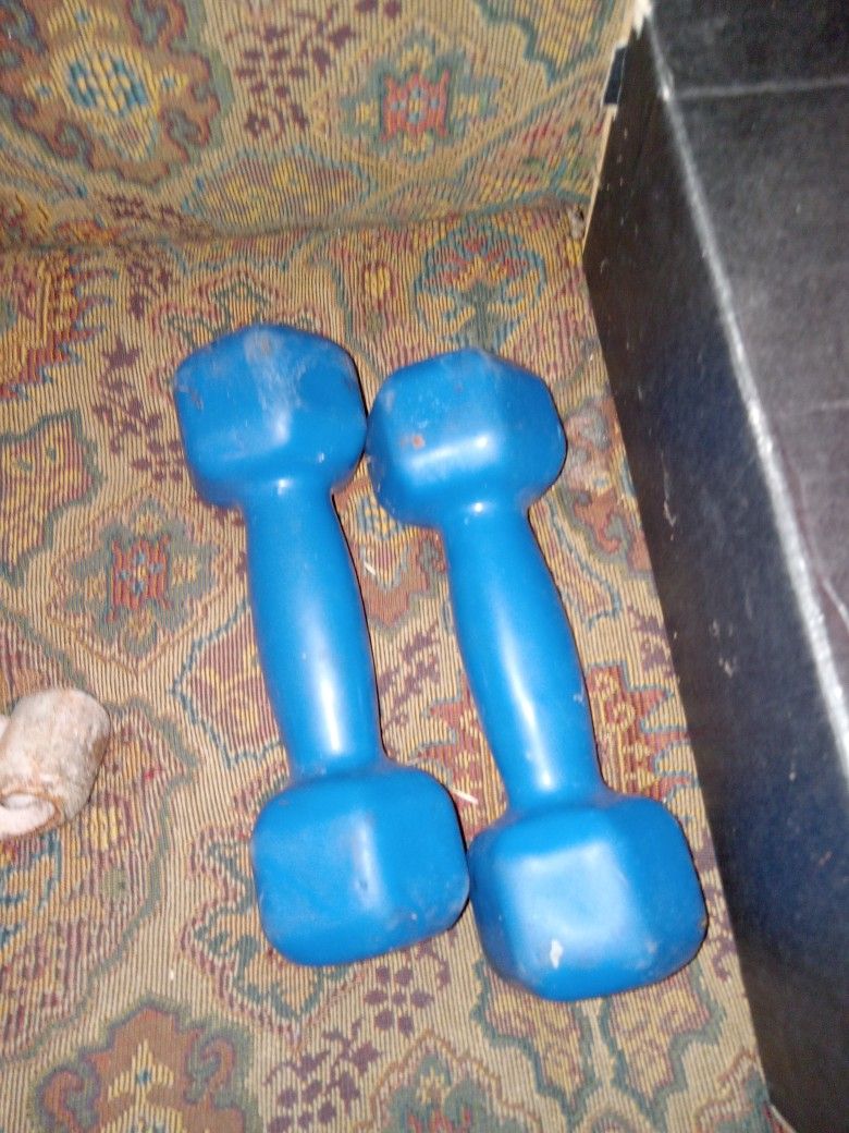 4 Pound Hand Weight Set