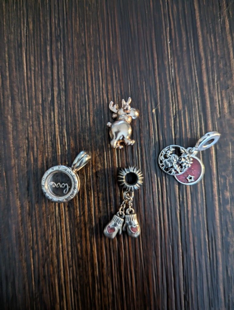 Pandora Charms