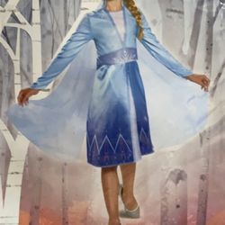 Elsa Costume 