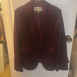Burberry Blazer Size 10 ~ Slim Fit 