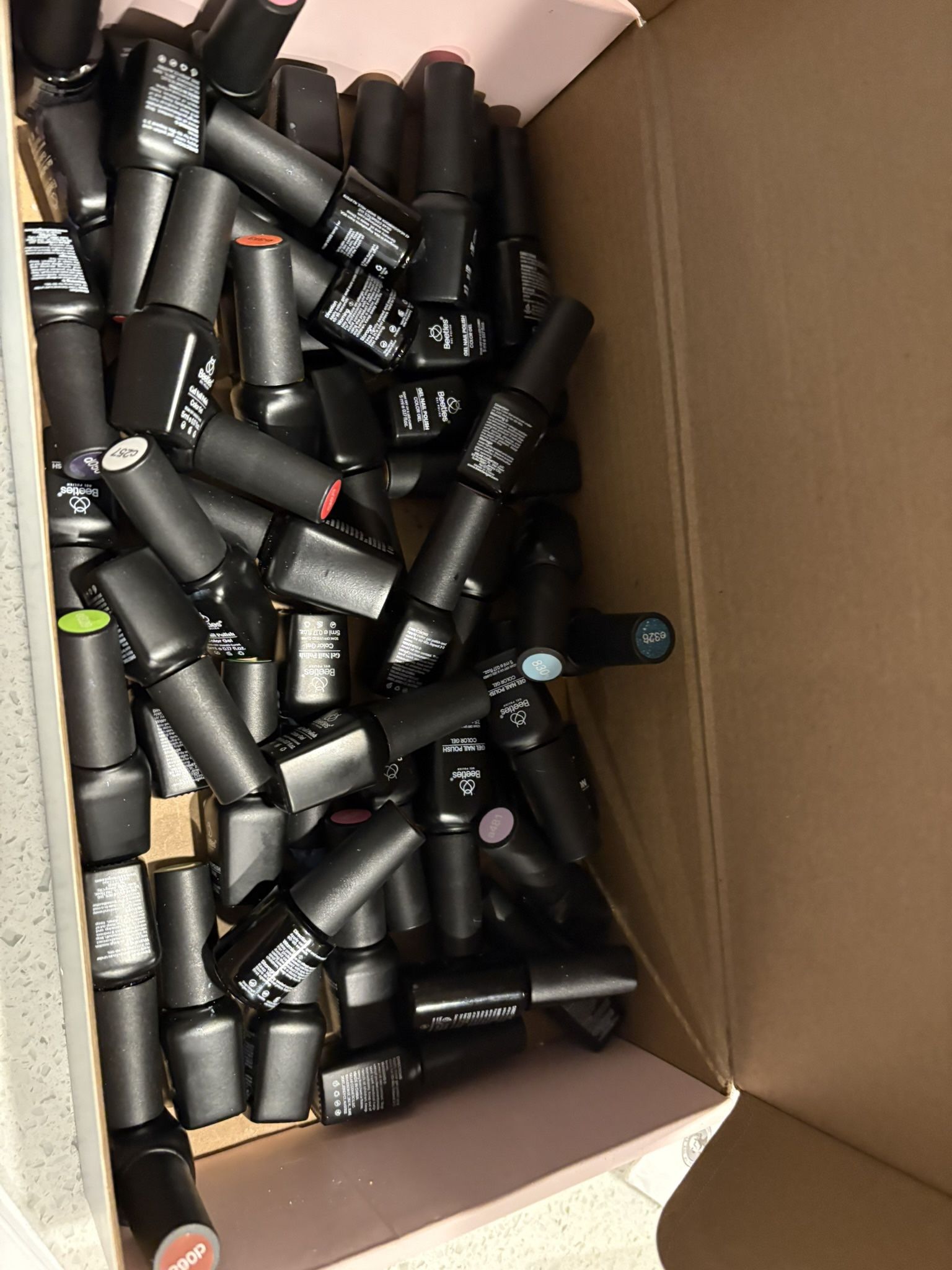Beetles Polish Lot