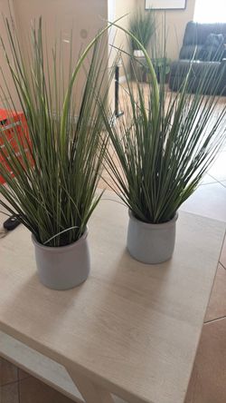 Plantas artificiales