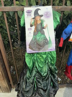 Girl which costume size 3T-4T $15