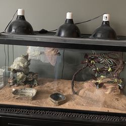 Reptile Tank