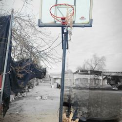 Lifetime Basketball Hoop