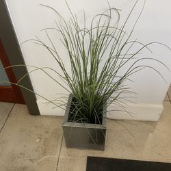 Fake Plant With Aluminum Cube Pot