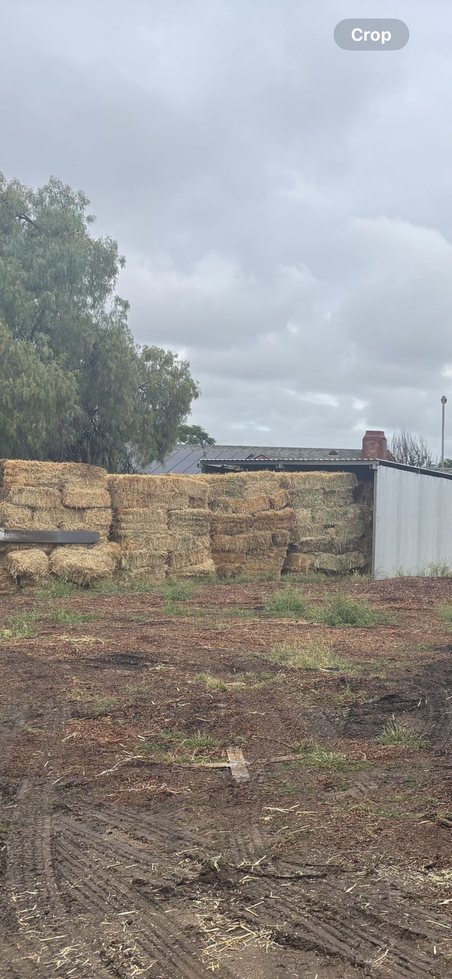 3 Way Oat Hay Bales