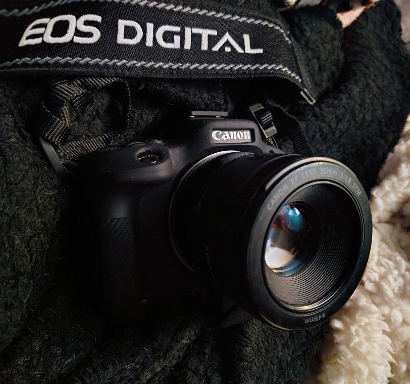 Canon EOS 7D,  21k s/C, 18-55mm II IS, Strap, Delkin CF Card