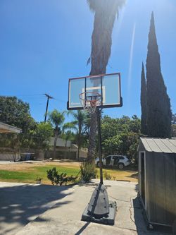 Basketball hoop