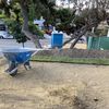 New Gen Landscaping 