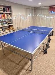 Ping Pong Table 