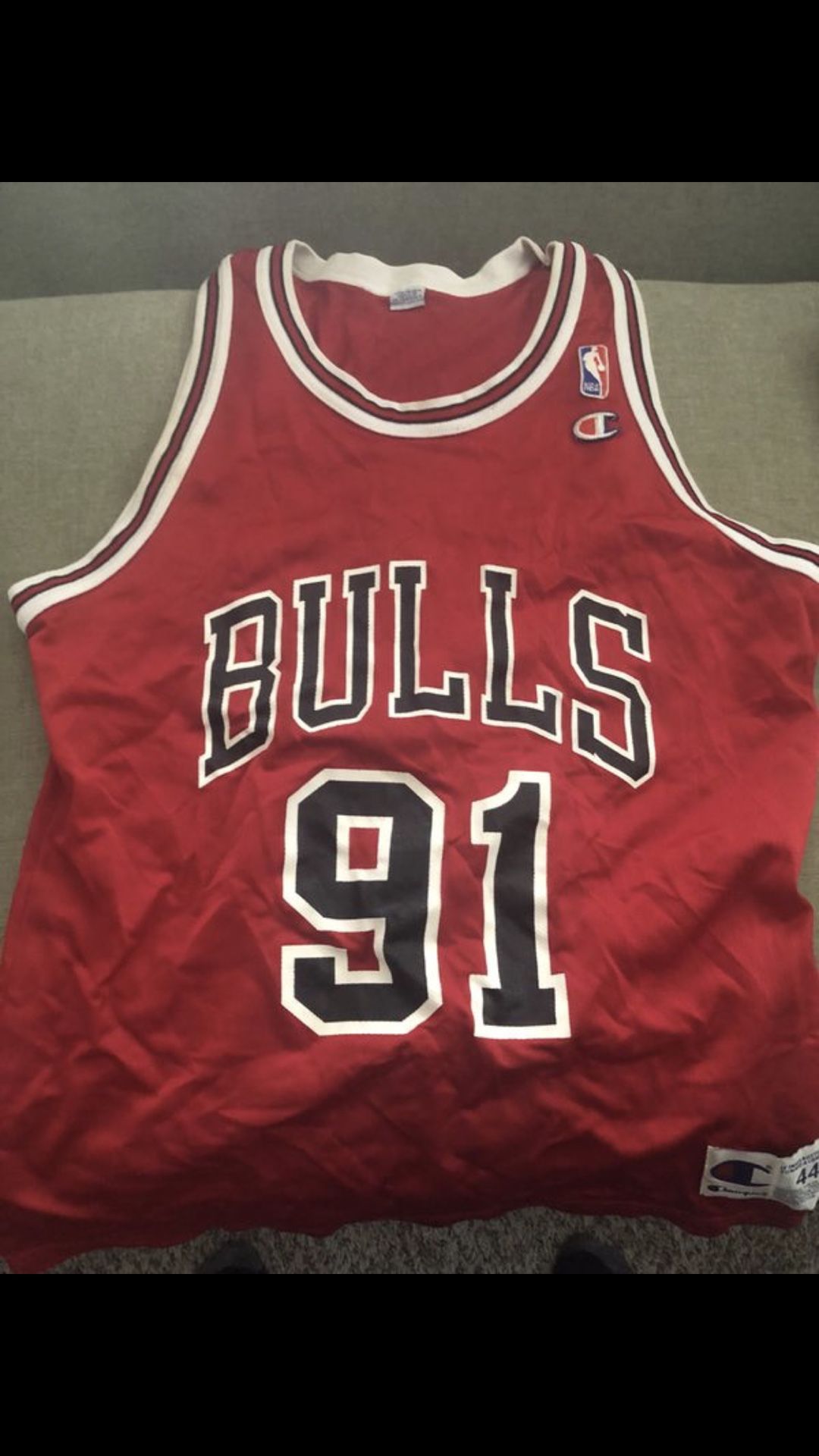 Dennis Rodman Youth Large 14-16 Champion Jersey for Sale in Gurnee, IL -  OfferUp