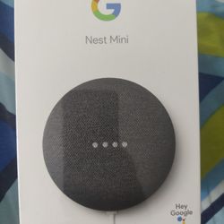 Google Nest Mini 2nd Gen
