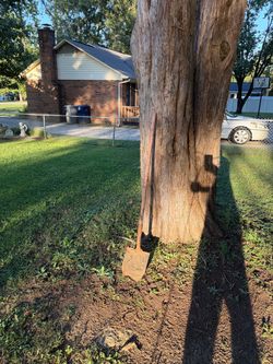 Lowes True Temple Fiberglass Round Point Shovel