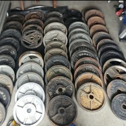 Weights, Plates, Dumbbells, Benches, Bars. And More!