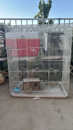 Bird cage