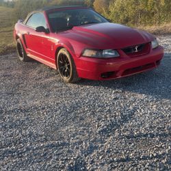 1999 Ford Mustang Svt Cobra 