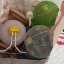 Hamster Starter Kit $20