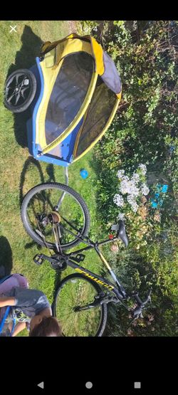 Schwinn High Timber/ Burleey 2 seater
