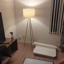 Selling Lamp For $20