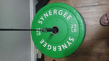 PAIR OLYMPIC PLATES 25 LBS