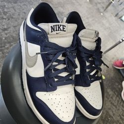 Nike Dunks Size 9