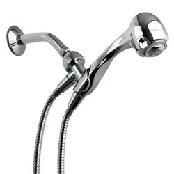 Chrome Showerhead with Hose and Mount