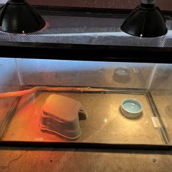 Tank For Reptile