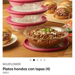 Platos Con Tapa Princess House 