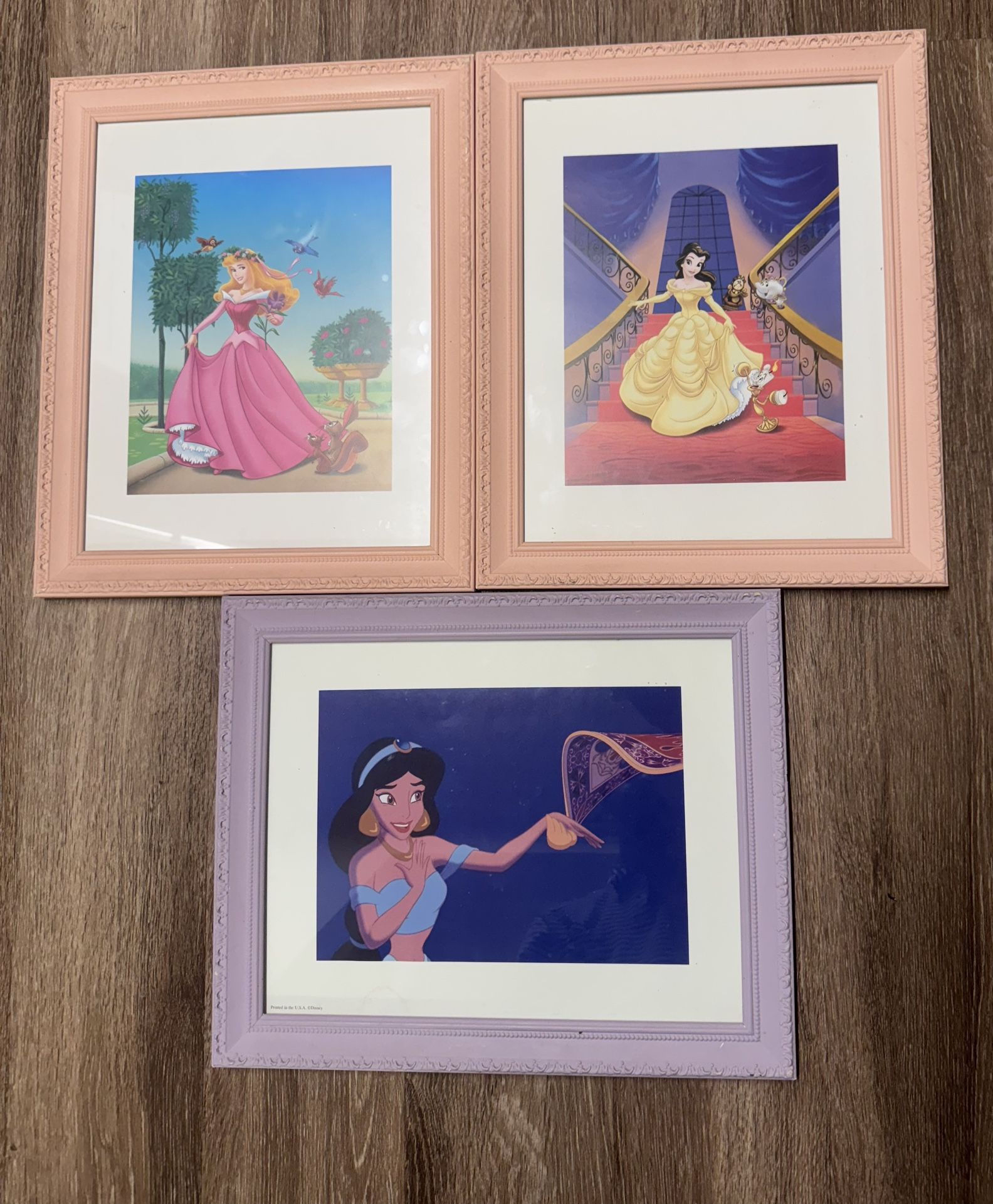 Disney Princess Framed Pictures
