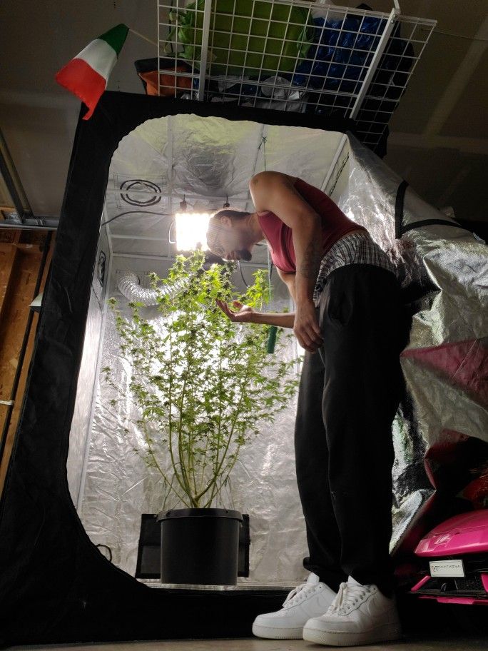 Grow Equipment