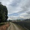 Carlosoa85