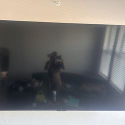 65” Tv W/ Wall Mount 