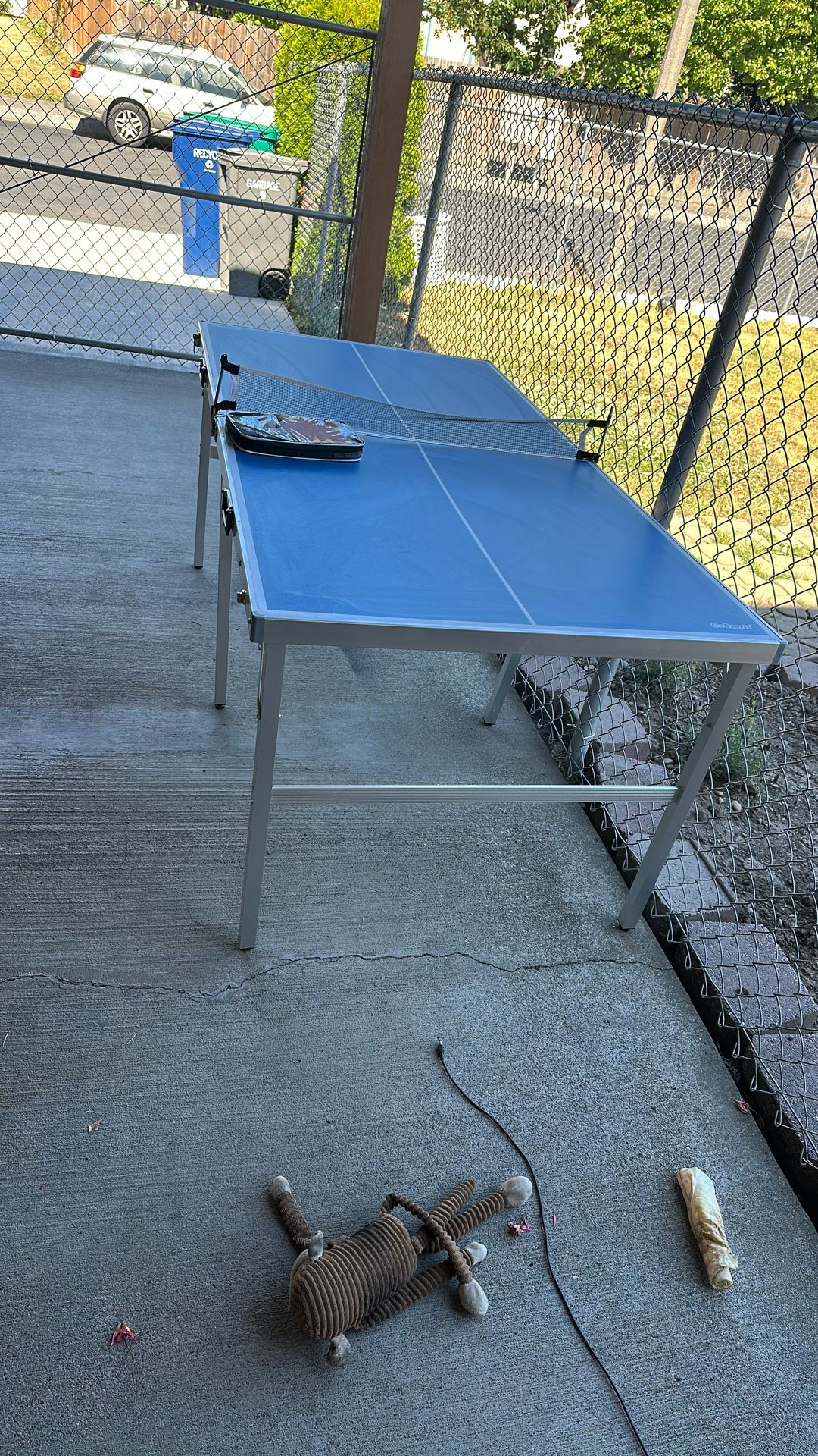 Ping-Pong Table