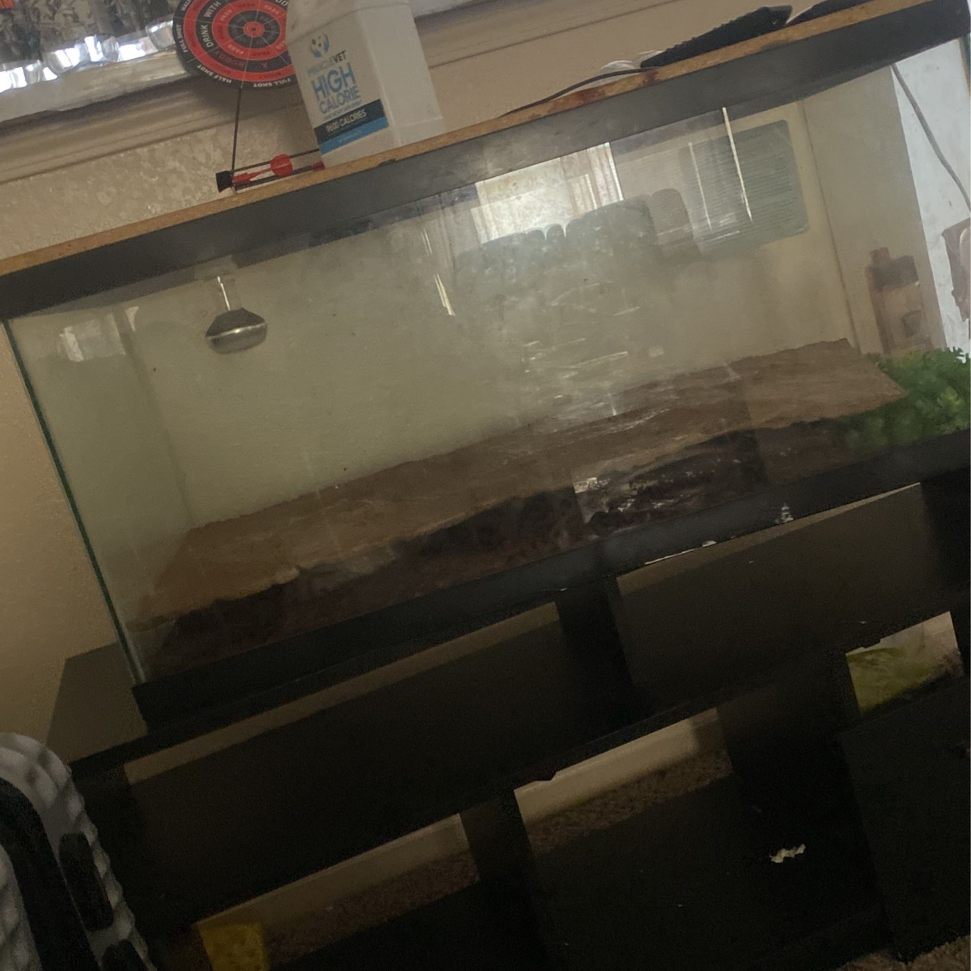 Glass Aquarium