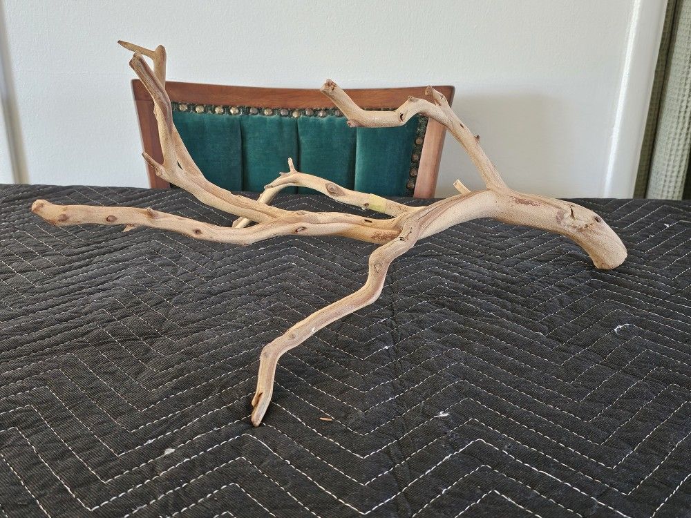 Driftwood (x1)