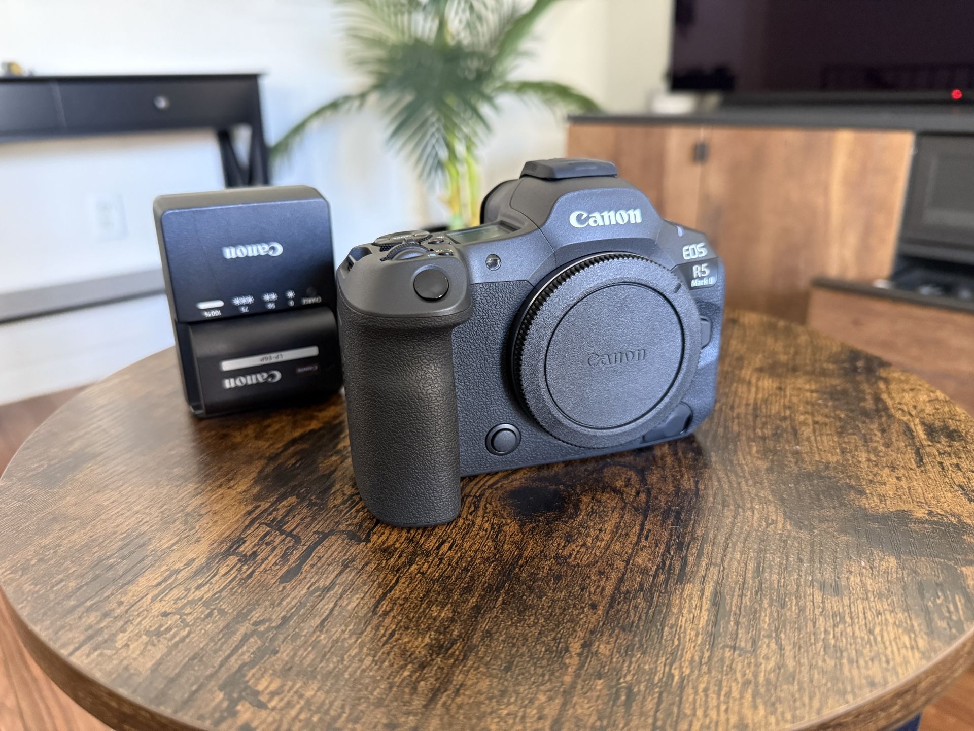 Canon R5 Mark II (Mk II)