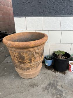 Terra Cotta Planting Pot 