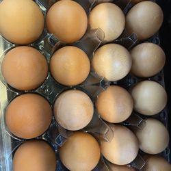 Fresh Laid Eggs Available Today $7.00 A Dozen 