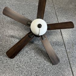 Ceiling Light Fan