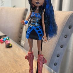 Monster High Doll Robecca  Steam 