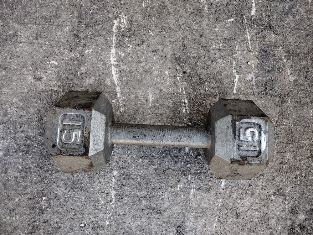 Only (1) 15 lbs Dumbbell.