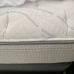 Plush Queen Size Bed Set —best Offer