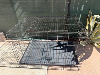 Big Metal wire dog kennel with a removable plastic tray, commonly used for pet training and containment 28 height /42 length and 31 width
